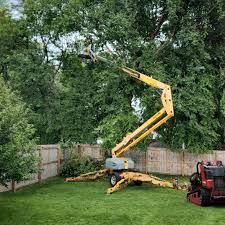 Grass Overseeding in Levittown, NY